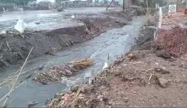 Temporal