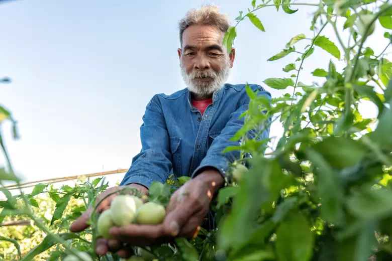dia del agricultor