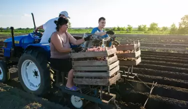 agricultura