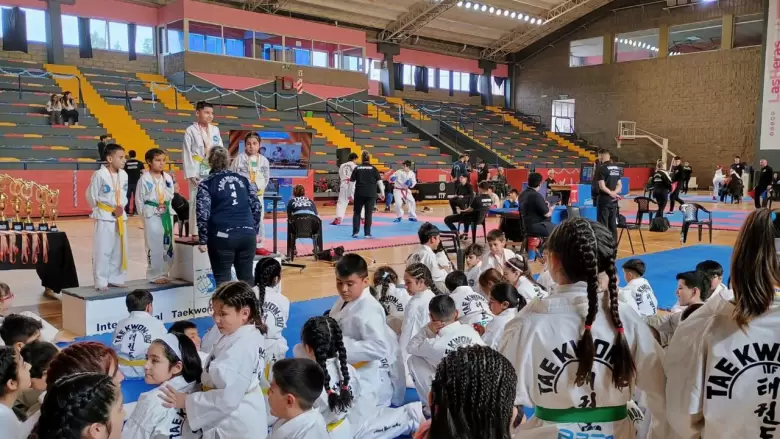 taekwon-do