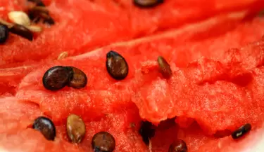 sandia