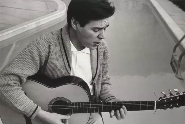 tom jobim