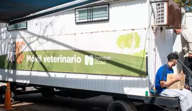 castraci�n movil veterinario