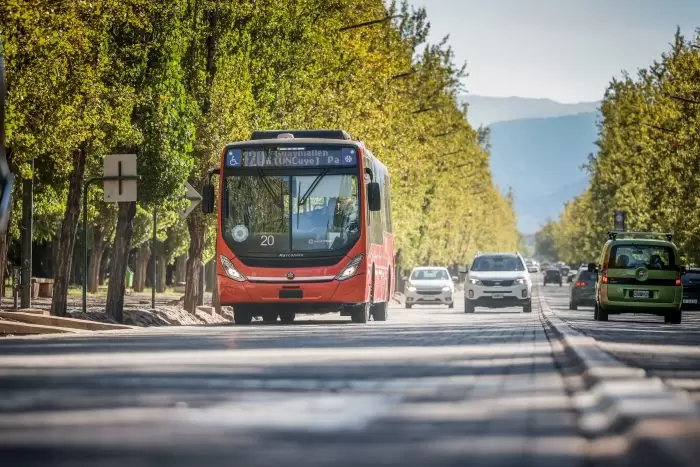 Colectivo STM