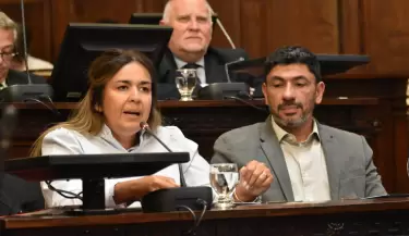 diputados mendoza