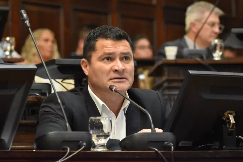 diputados mendoza