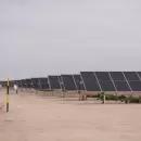 Inauguraron Coperote I, el parque solar que abastecerá a miles de hogares mendocinos