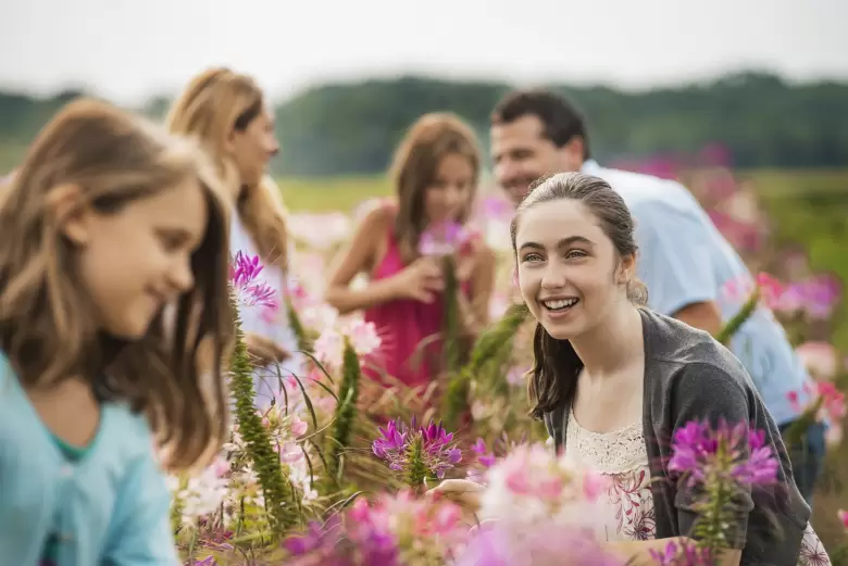 primavera