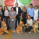 Lola, Simón y Nina, los perros que ayudan a los niños a vacunarse en el hospital Humberto Notti