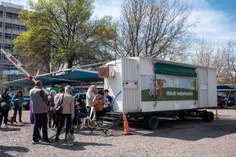 Atenci�n veterinaria