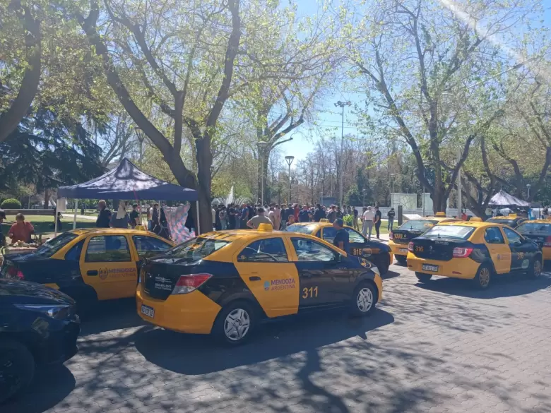 taxis
