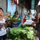 Mendoza celebrará el Día Mundial del Vegetarianismo en el Parque Central