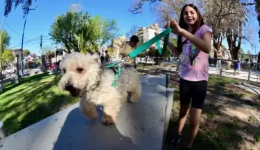 Plaza Canina