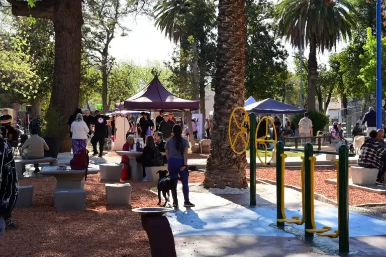 Plaza Canina