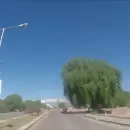 Las Heras avanza con la parquizaci�n en el bulevar Regalado Olgu�n, para mejorar los espacios verdes comunitarios