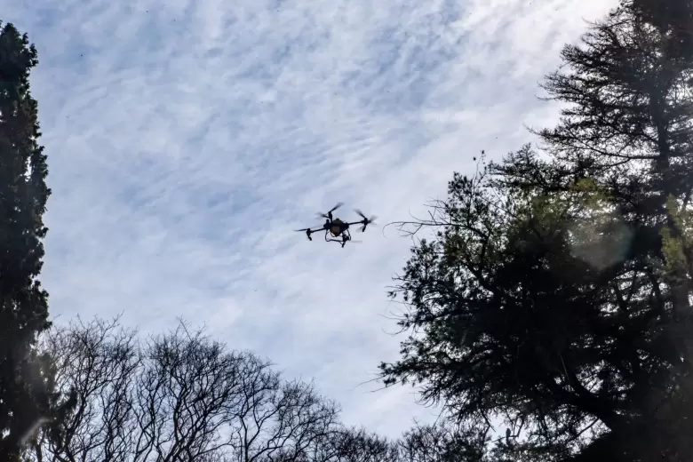 Drones para la pulverización del arbolado