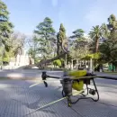 Pulverizaci�n con drones: la nueva estrategia para proteger el arbolado urbano en Capital