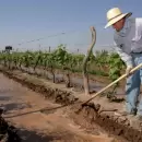 Sectores productivos, los más afectados con el retroceso del empleo formal