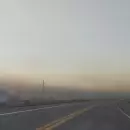 (Video) Temperaturas bajo cero y heladas tardías golpearon zonas productivas