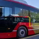 Mendoza incorpor� nuevos y modernos colectivos a GNC al sistema MendoTran