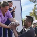 Los Corralitos recibirá a Muni Exprés, con atención sanitaria, cultural y social