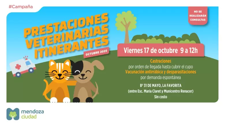 mascotas