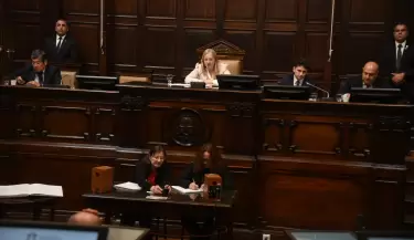 senado