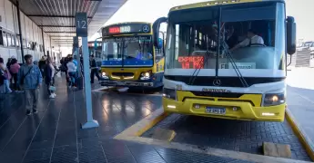 Ara�a del rincon