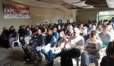 Expo cerdo