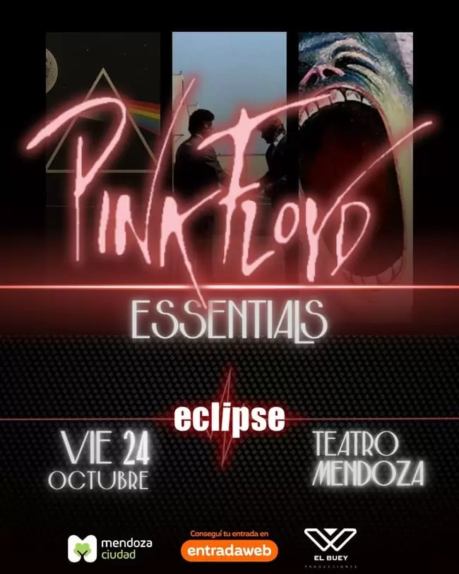 pink floyd eclipse