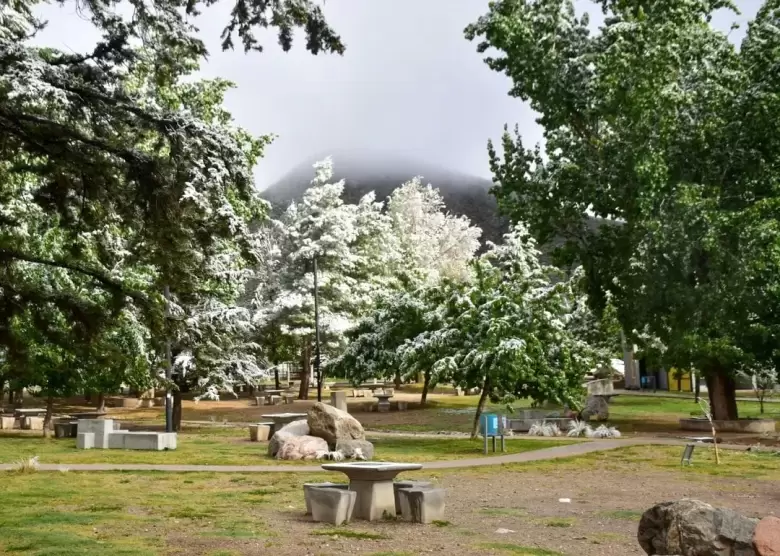 manzano histórico