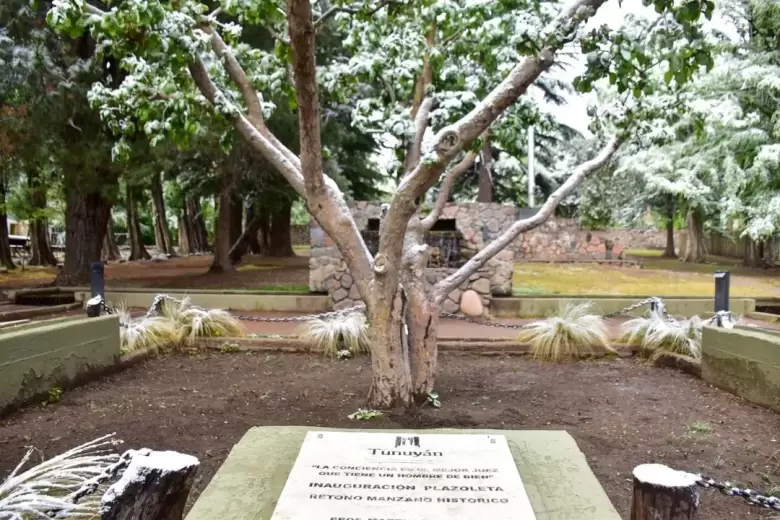 manzano histórico