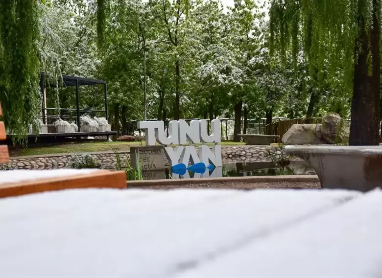 manzano histórico