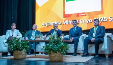 argentina mining