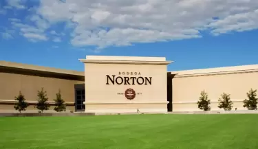 bodega norton