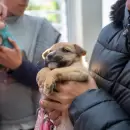 El M�vil Veterinario ofrecer� servicios gratuitos durante noviembre en Capital