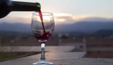 Vino
