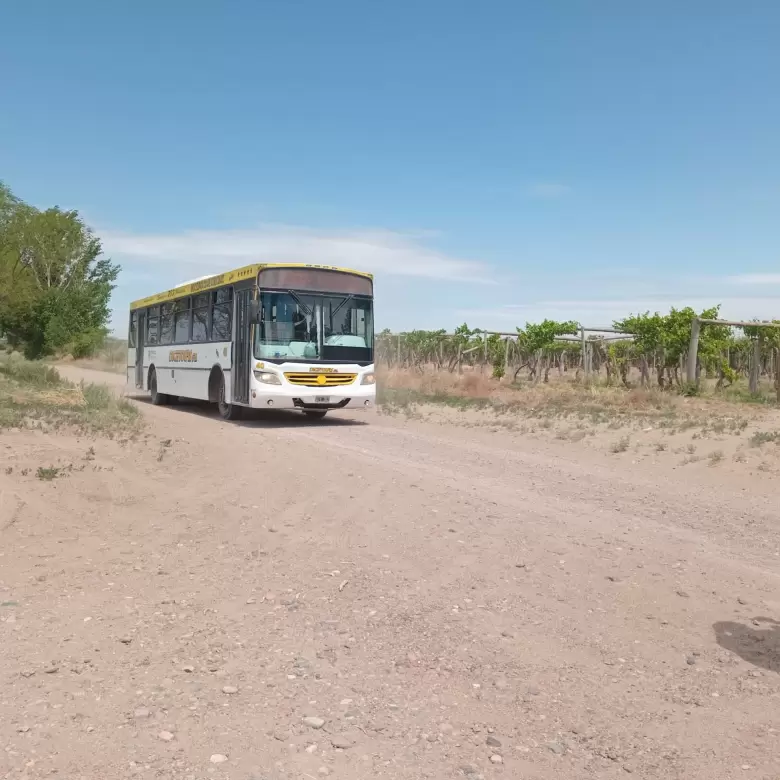 colectivo