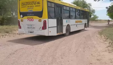 colectivo