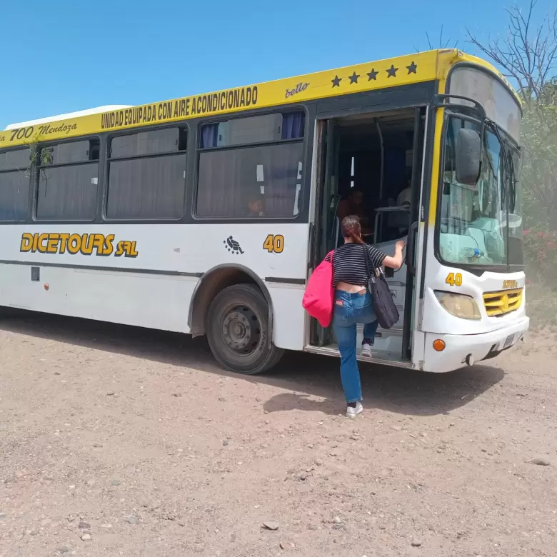 colectivo