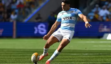 los pumas