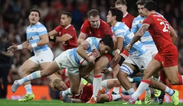 los pumas