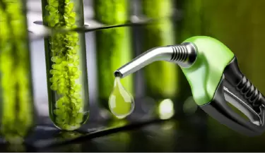 biocombustibles