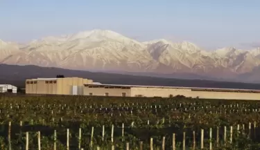 bodega do�a paula