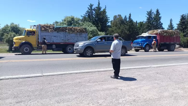 Operativo provincial