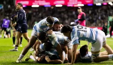 los pumas