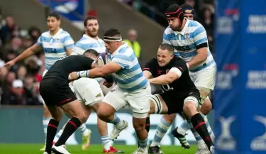 los pumas