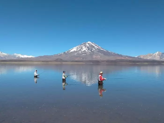 Pesca
