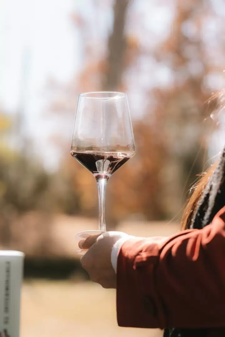 mendoza vino