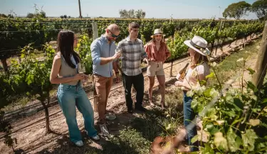 mendoza vino